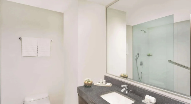 Четырёхместный номер Standard с видом на город Wyndham Guayaquil, Puerto Santa Ana