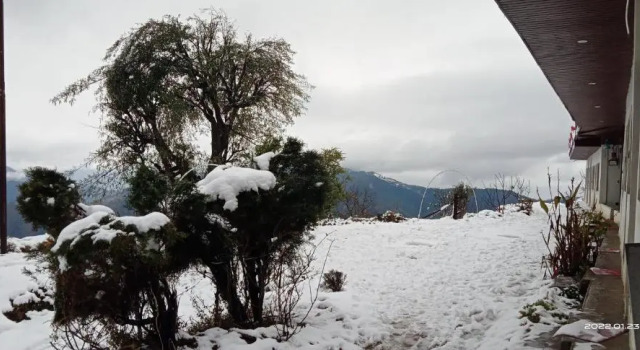 Amuser Stays, Rezervovat Hotel Tehri Uttarakhand