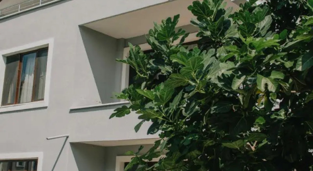 Апартаменты Agva Marina House