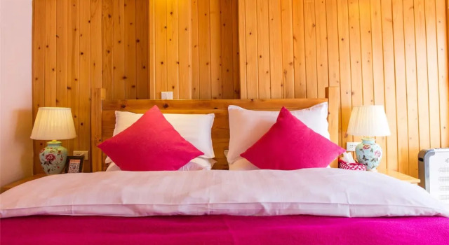 Двухместный номер Standard C'est La Vie Boutique Inn
