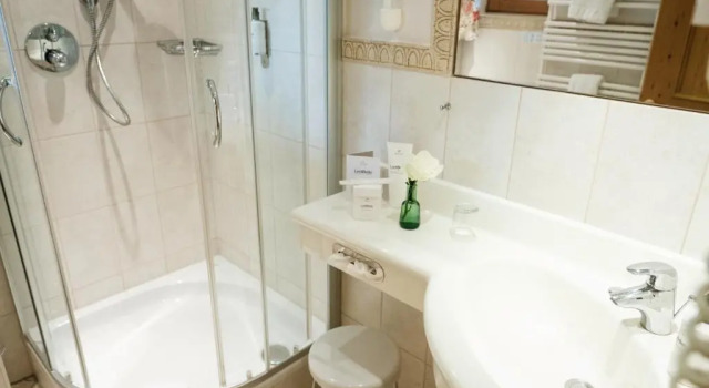 Одноместный номер Deluxe Landhaus Christl am See