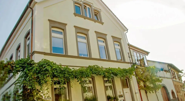 Hofgarten Rosa