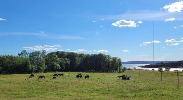 Hotel Jeløy Radio, Rezerwuj Hotel Moss Akershus