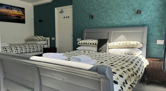 Одноместный семейный номер Standard St Georges Guest House