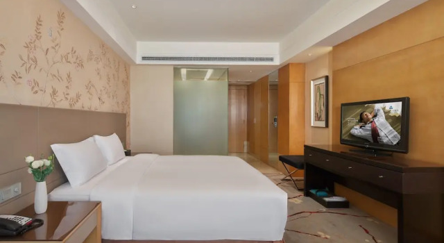Executive Zimmer Grandskylight Hotel