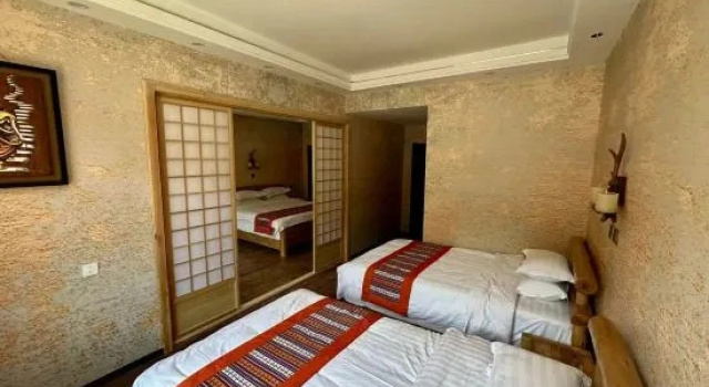 Standard cameră Nirvana Hotel - Hostel