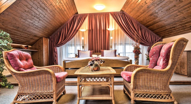 Люкс Classic OREA Hotel Arigone Olomouc
