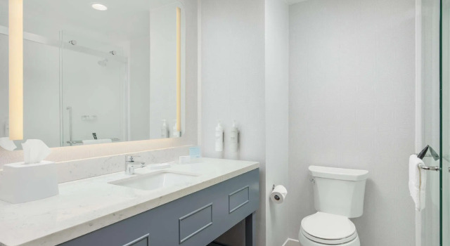 Четырёхместный номер Standard Hampton Inn & Suites Huntsville Downtown, Al