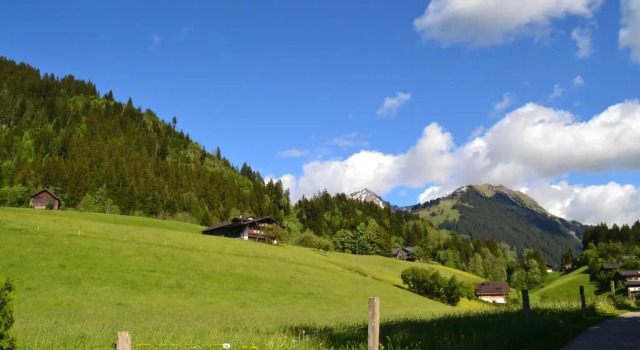 Номер Comfort Hotel Le Grand Chalet Gstaad