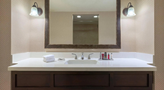 Люкс Atlanta Marriott Perimeter Center