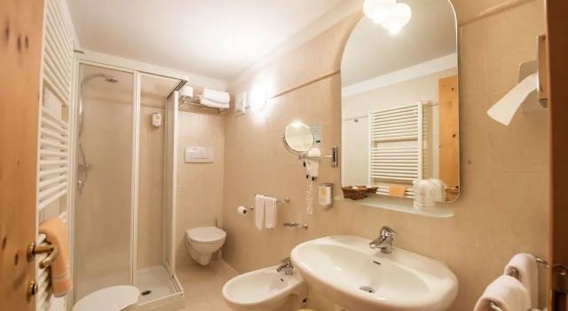 Номер Economy Hotel Alpino Al Cavalletto