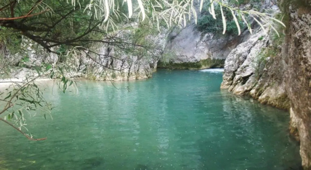 Шале Le Chalet du Berger