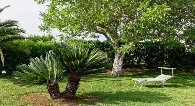 Коттедж с 3 комнатами Terra Sessana Country Resort