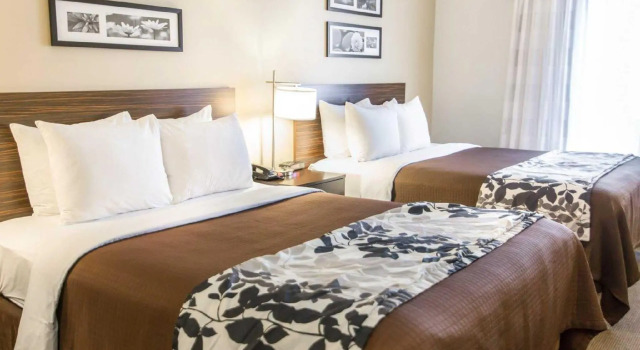 Четырёхместный номер Standard Sleep Inn & Suites Norton