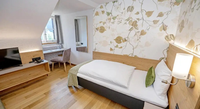 Номер Economy See- und Seminarhotel FloraAlpina Vitznau