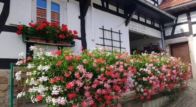 GÎte rue de l'Ange, Rezerwuj Hotel Hunspach 