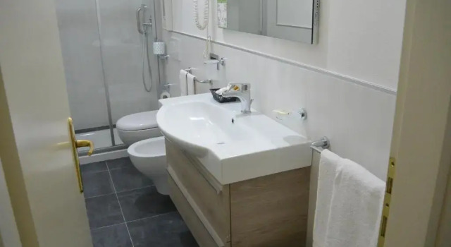 Двухместный номер Standard Hotel Suisse