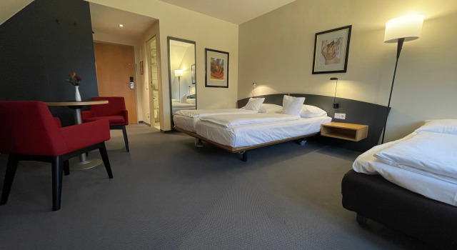 Семейный номер Standard PLAZA INN Heidehof