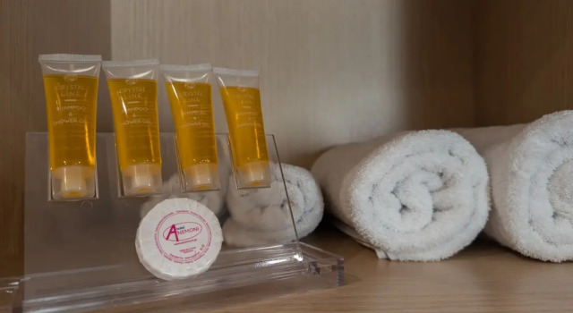 Трёхместный номер Standard Anemoni Piraeus Hotel