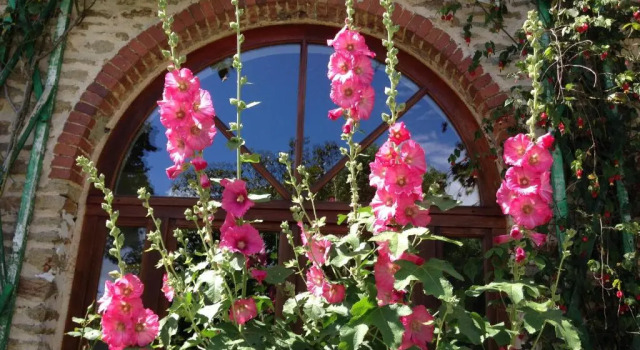 Коттедж L'Orangerie de Kerlarec
