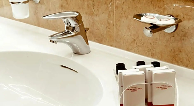 Номер Standard Central Park Hotel Modena
