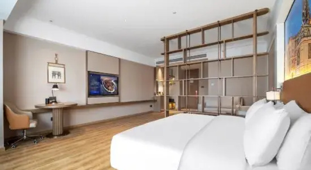 Люкс Business Vienna Hotel (Yanggu New World Plaza)