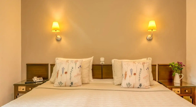 Номер Economy Hotel Peli