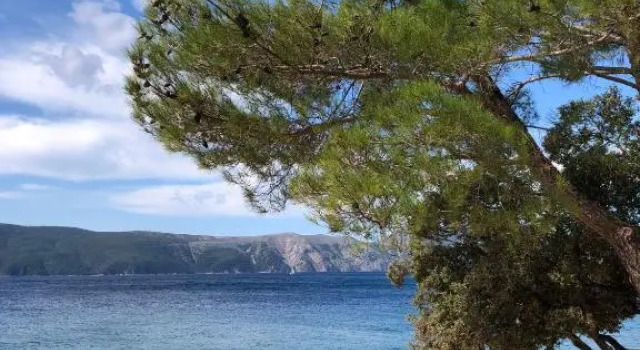Apartments Bernarda, Buchen Sie Ferienwohnung Pinezici Insel Krk