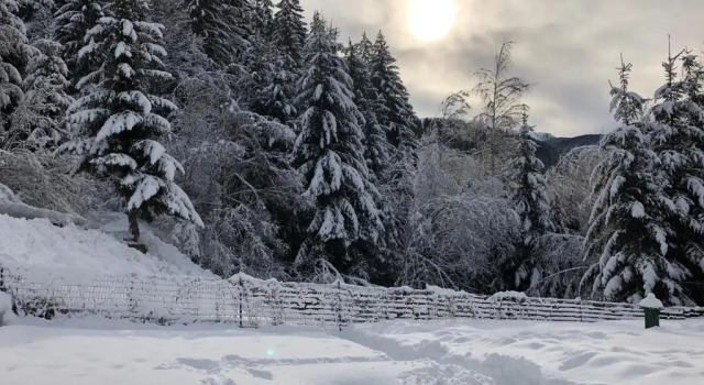 Шале Superior Eco Chalet Nonno Silvano