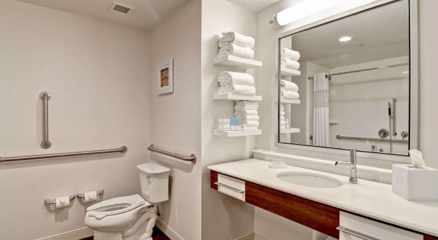 Четырёхместный номер Standard Hampton Inn & Suites Detroit/Troy