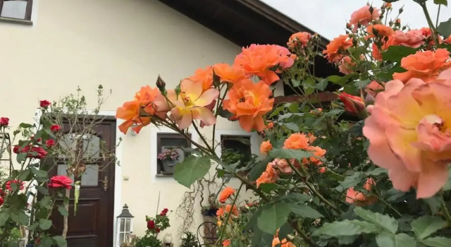 Ferienwohnung Evi, Varaa Huoneisto Hotellit Baijeri pysäköinnillä, Pysäköinti