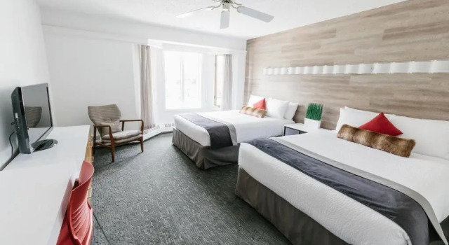 Четырёхместный номер Standard Elk + Avenue Hotel