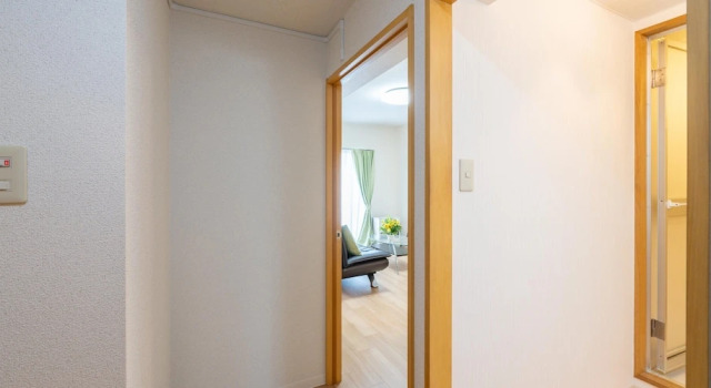 Номер Comfort с балконом Sapporo Residential Juno