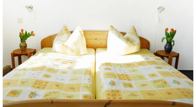 Appartamento Pension Alter Zausel