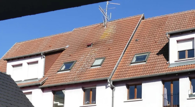 Appartement Grenouillere