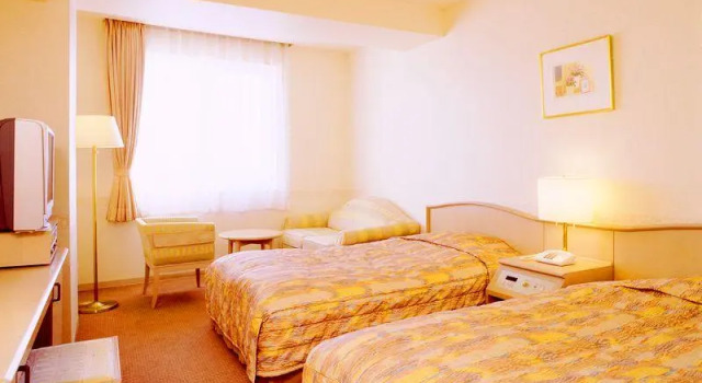 Двухместный номер Standard Mombetsu Central Hotel