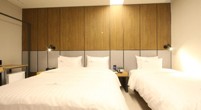 Двухместный номер Deluxe Hotel Eco stay