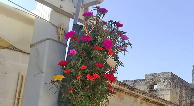 B&B Corte dell' Idume