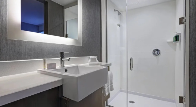 Двухместный люкс SpringHill Suites by Marriott Palm Desert
