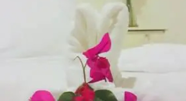 Hotel Beyzade