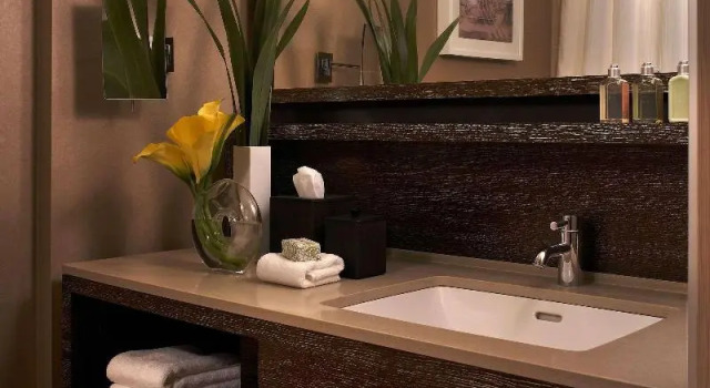 Двухместный номер Deluxe с видом на город The Royal Sonesta Chicago River North