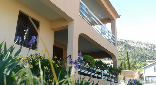 Студия Apartment Davidovic