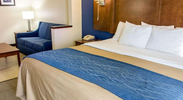 Двухместный номер Standard Comfort Inn & Suites Statesboro - University Area