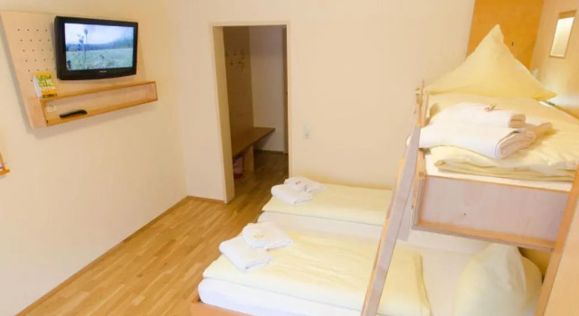 Трёхместный номер Standard JUFA Hotel Montafon