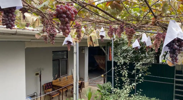 Номер Standard Guest House Vip
