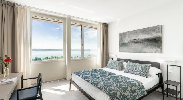 Двухместный номер Standard Hôtel Alpes & Lac