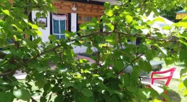 Limosa Guest House & Apartment, Забронировать Апартаменты/квартира Апартаменты Джамму и Кашмира, Апартаменты/квартира