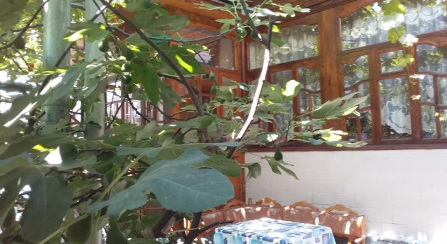 Кровать в общем номере Гостевой дом Lovely home for you