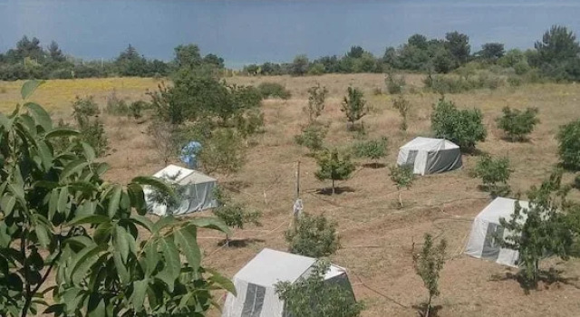 Ilkay Pansiyon Cadir Kampi, Rezervovat Hotel Yesilova Mediterranean Region Turkey