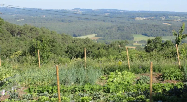 Nature et Piscine au sommet du Périgord, Забронировать Отель Туртуарак Black Perigord